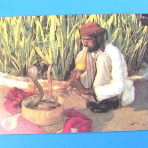 indian snake charmer singapore postcard