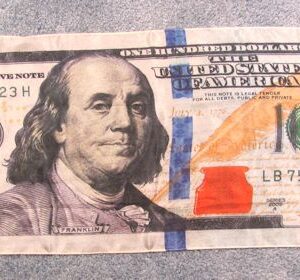 100 dollar bill silk (large)